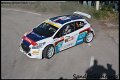 6 Peugeot 208 T16 P.Andreucci - A.Andreussi (55)